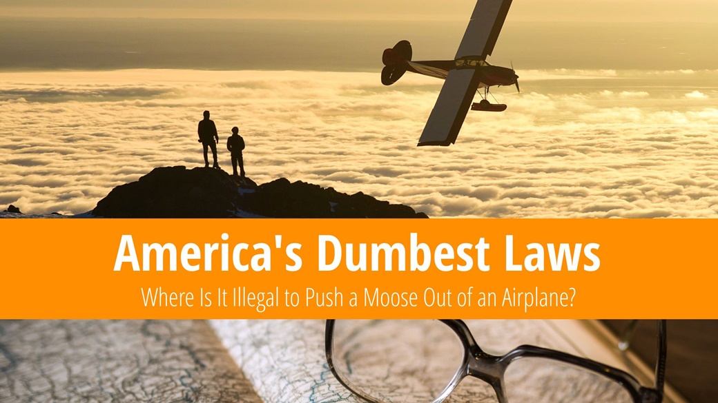 america-s-dumbest-laws-no-moose-dropping-from-planes