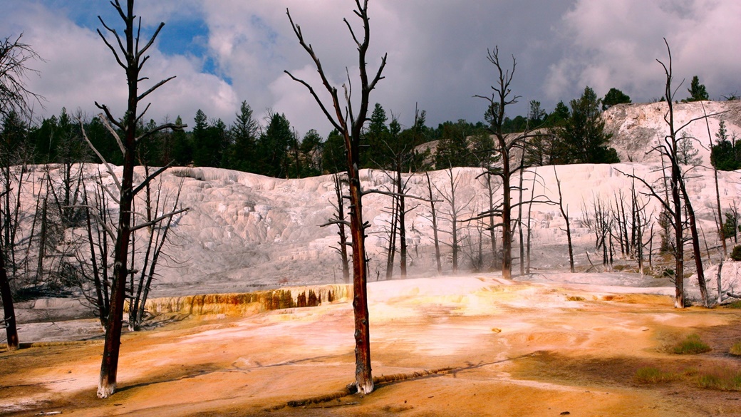 Yellowstone nationalpark | © stevetulk