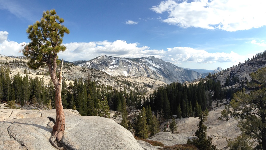 Parque Nacional de Yosemite | © akasped